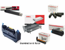 44318608  OKI Toner CIERNY pre C710/711   11000stran