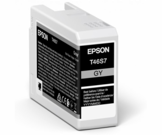 Epson ink cartridge gray T 46S7 25 ml Ultrachrome Pro 10