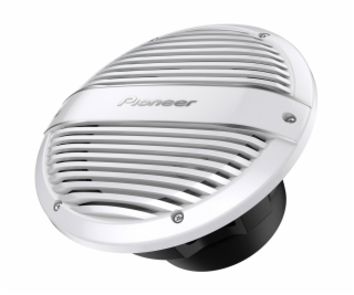 Pioneer TS-ME100WC Marine