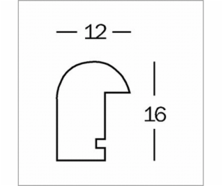 Walther Meran beech tree 29,7x42 wooden frame  DIN A 3   ...