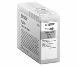 EPSON ink čer ULTRACHROME HD ""Kosatka"" - Light Light Bl...