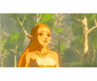 SWITCH The Legend of Zelda: Breath of the Wild