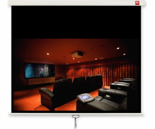 Avtek Video 200 projection screen 4:3