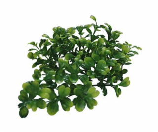 Lucky Reptile Turtle Plants Horn Fern cca 40 cm