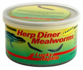 Lucky Reptile Herp Diner - mouční červi 35g Mouční červi 35g