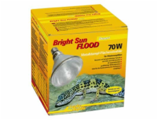 Lucky Reptile Bright Sun FLOOD Desert 70W