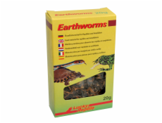 Lucky Reptile Earthworms 10g