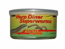 Lucky Reptile Herp Diner Superworms 35g