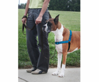 PetSafe postroj EasyWalk Deluxe, modrý, velikost M/L