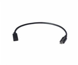 iTec USB-C prodlužovací kabel (30 cm)