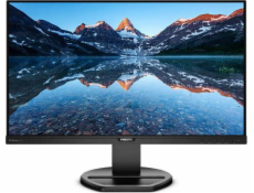 PHILIPS 25  LED 252B9/00/ 1920x1200/ 300cd/ HDMI/ VGA/ DVI-D/ DP/ 3x USB/ repro