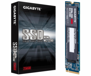 GIGABYTE SSD 256GB M.2