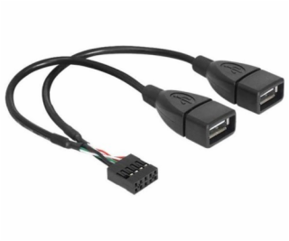 Delock kábel 2x USB 2.0 A samica na pinový konektor