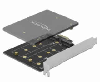 Delock PCI Express x1 Karta na 2 x interní M.2 Key B