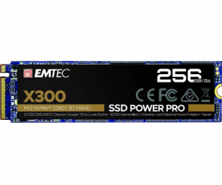 X300 M2 SSD Power Pro 256 GB