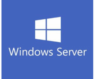 Windows Server CAL 2022 ENG 5 Clt User CAL OEM