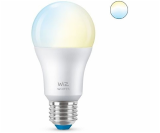 WiZ LED žárovka E27 8718699787035