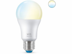 WiZ LED žárovka E27 8718699787035