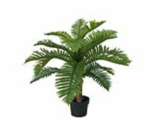 Cycas palma, 70 cm