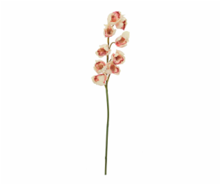 Orchidej větvička, krémově růžová, 90 cm