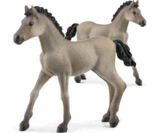 Schleich Horse Club     13949 Criollo Definitivo Foal