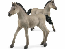 Schleich Horse Club     13949 Criollo Definitivo Foal