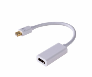 Akyga konvertor mini DisplayPort/HDMI/PVC/15cm