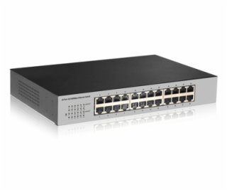 DIGITUS Professional Fast Ethernet N-Way 24-port switch