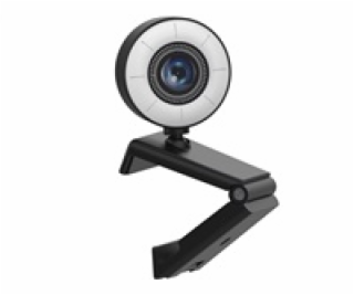 Sandberg 134-21 Streamer USB Webcam