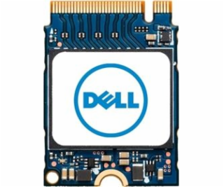 Dell M.2 PCIe NVME Class 35 2230 Solid State Drive - 256GB