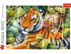 Puzzle 1500 dielikov Dva tigre