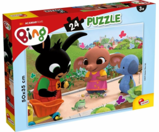 Puzzle Plus 24 Bing 4