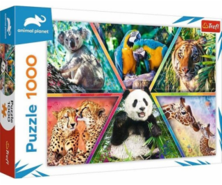 Trefl Puzzle 1 000 dílků Animal Kingdom Animal Planet