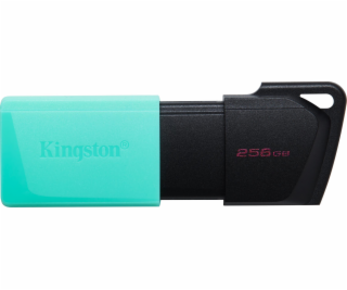 Kingston 256GB USB3.2 Gen 1 DataTraveler Exodia M (Black ...