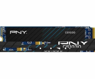 PNY SSD Disk CS1030 500GB M.2 2280 SSD