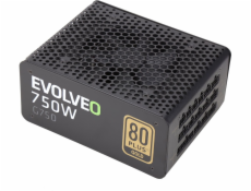 EVOLVEO G750 zdroj 750W, eff 91%, 80+ GOLD, aPFC, modulární, retail