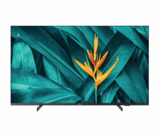 Philips/50HFL5214U/50 /4K UHD/Black