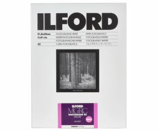 1x 25 Ilford MG RC DL  1M  18x24