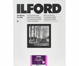 1x 10 Ilford MG RC DL  1M  24x30