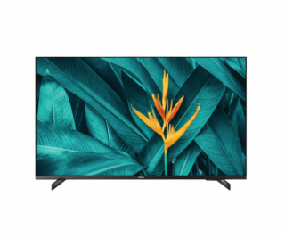 Philips/43HFL5214U/43 /4K UHD/Black