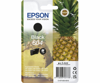 Epson ink cartridge black 604                       T 10G1