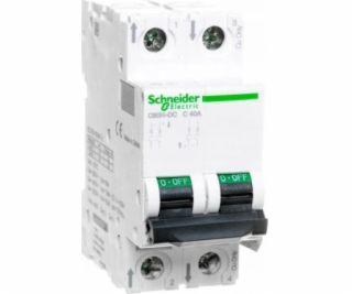 Schneider Electric Jistič 2P C 2A 6kA DC C60H (A9N61522)