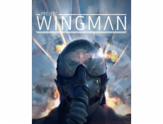 ESD Project Wingman