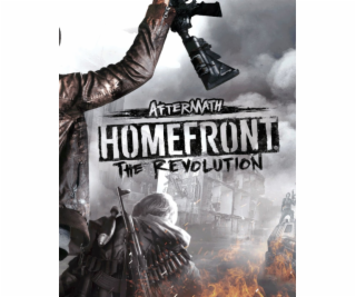 ESD Homefront The Revolution Aftermath