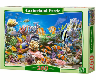 Castorland Puzzle Coral Reef 260 Elements (27279)