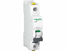 Schneider Electric, přepínač s nadproudem 1P C 50A 6KA AC IC60N - A9F04150