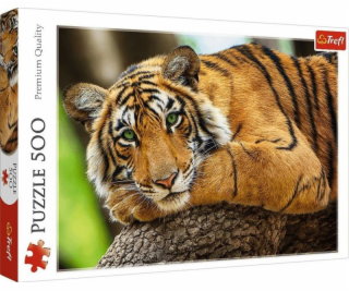 Puzzle 500 prvkov Portrét tigra