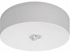 Awex Emergency Luminaire AXN IP65 ECO LED 1W 125lm 1H Science v Biała (Axno/1W/ESE/AT/AT/WH)