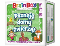 Rebel BrainBox - potkávám zvířecí domy