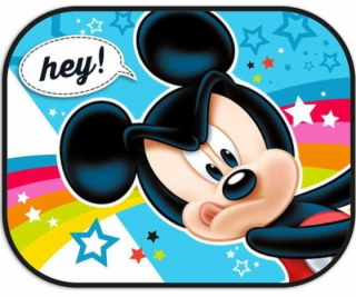 Disney Mickey 44x35cm tanky